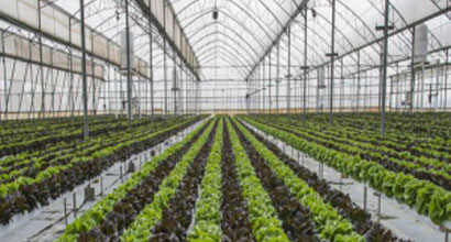 Production Line-Greenhouse Pipe